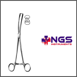 VULSELLUM FORCEP TEALE